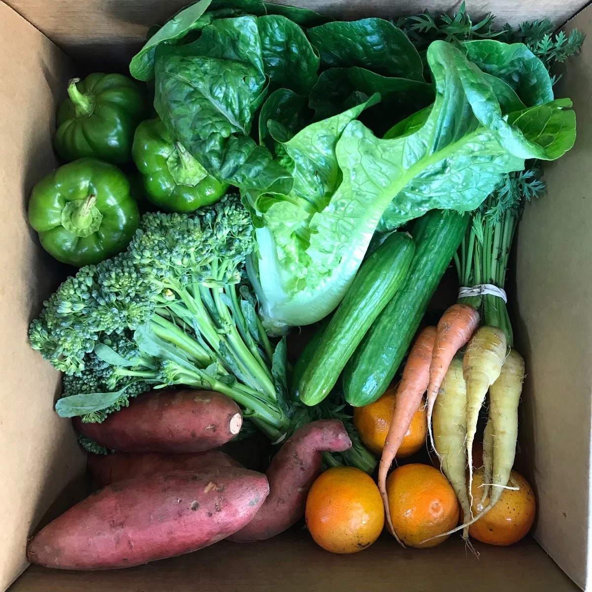 Fresh by 4Roots CSA Box