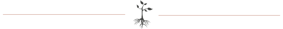 4Roots logo with lines