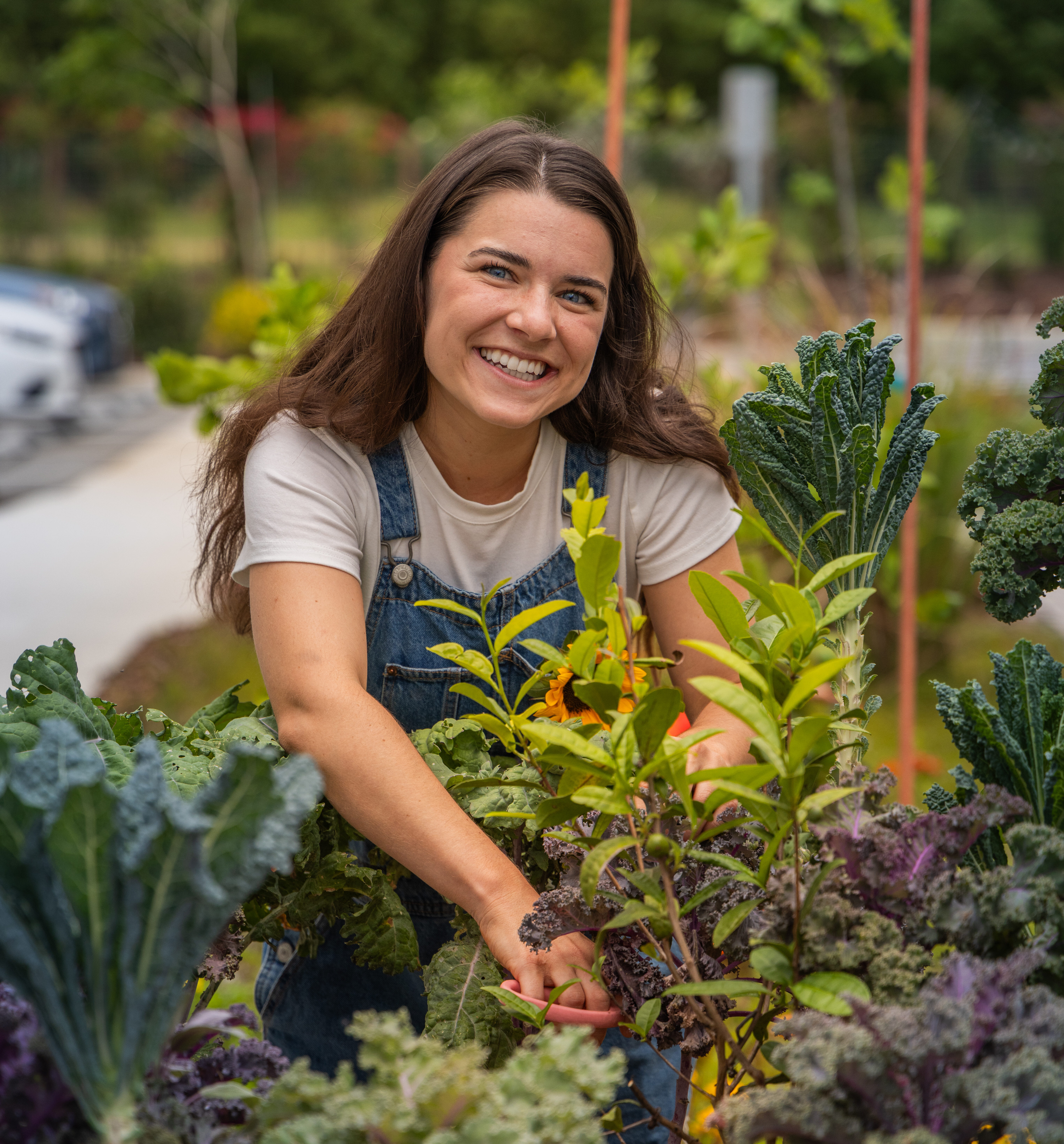 Florist clipping greenery